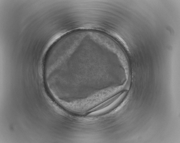 X0000115511122200911271425