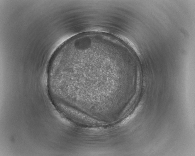 X0000115511125200911271425