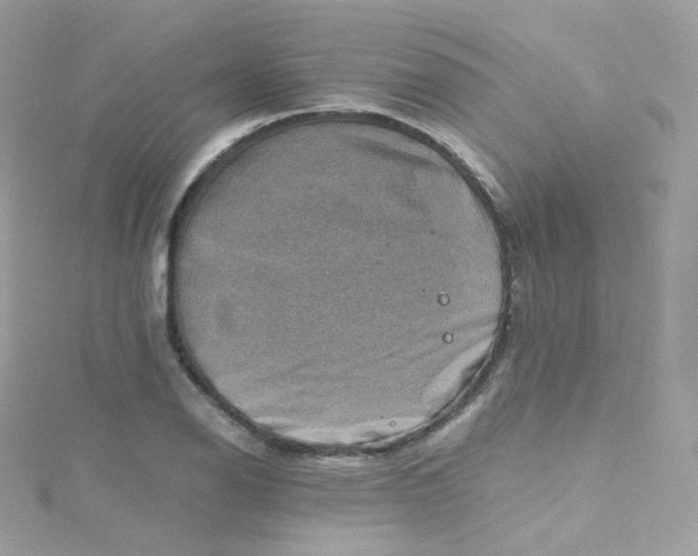 X0000115511126200911271425