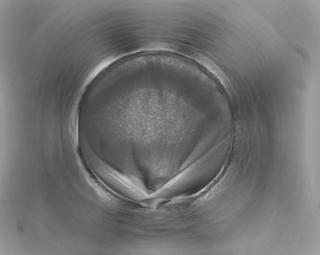 X0000115511127200911271425