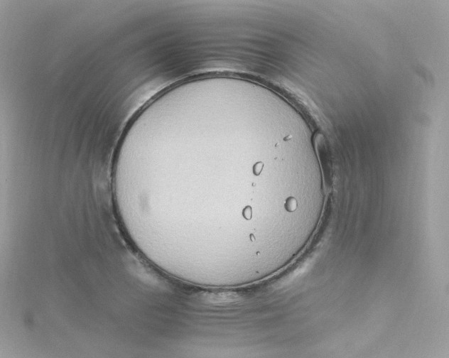 X0000115511129200911271425