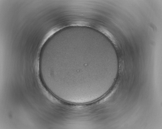 X0000115511130200911271425