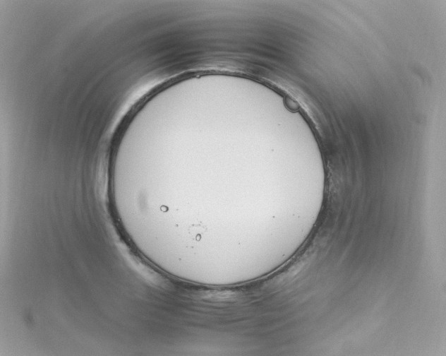 X0000115511131200911271425