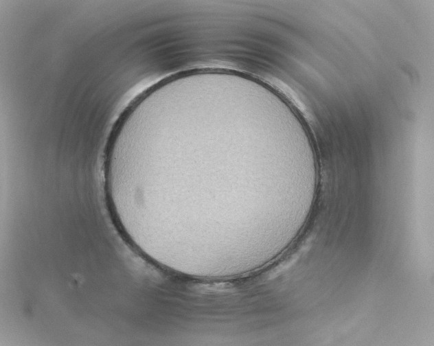 X0000115511133200911271425