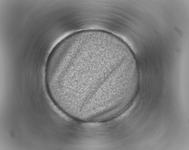 X0000115511134200911271425