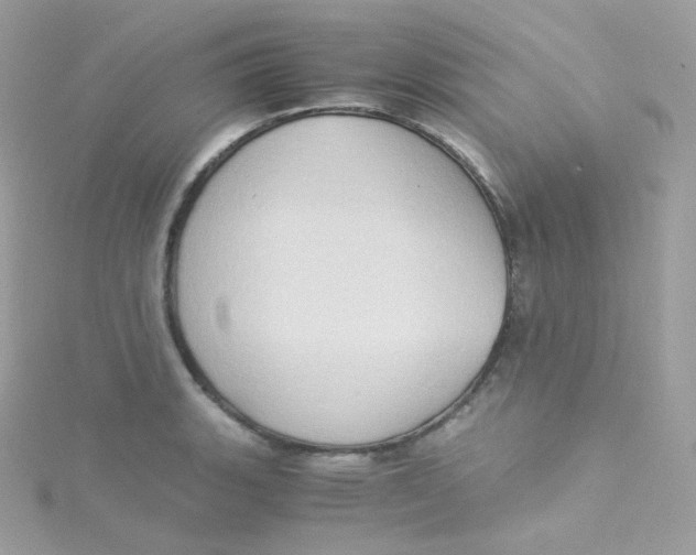 X0000115511135200911271425