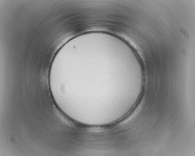 X0000115511137200911271425