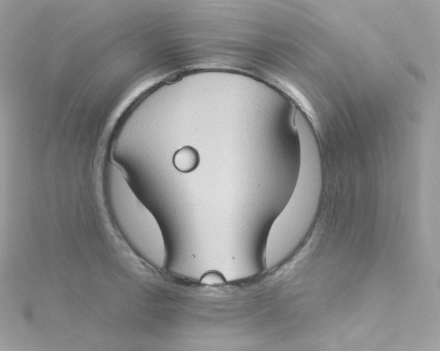 X0000115511138200911271425