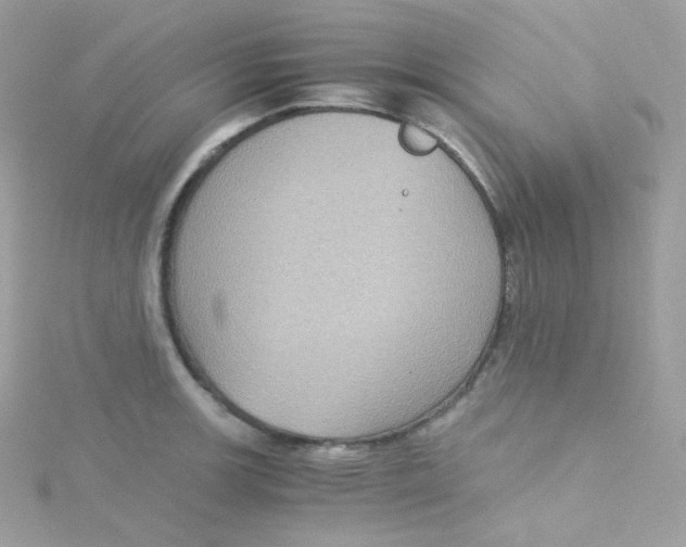 X0000115511139200911271425