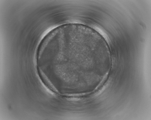 X0000115511141200911271425