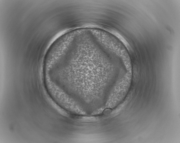 X0000115511142200911271425