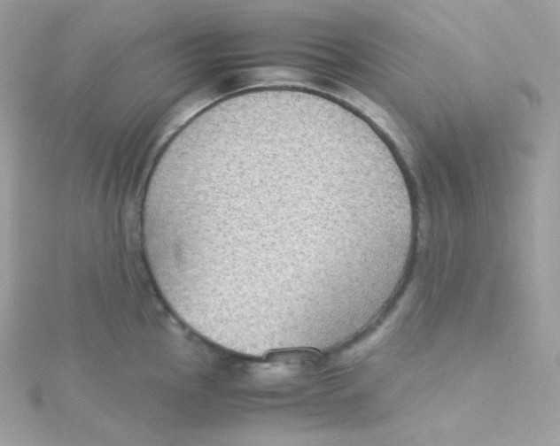 X0000115511145200911271425