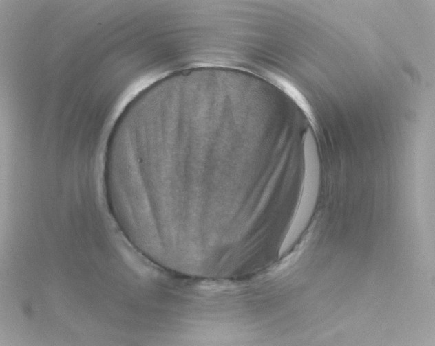 X0000115511146200911271425