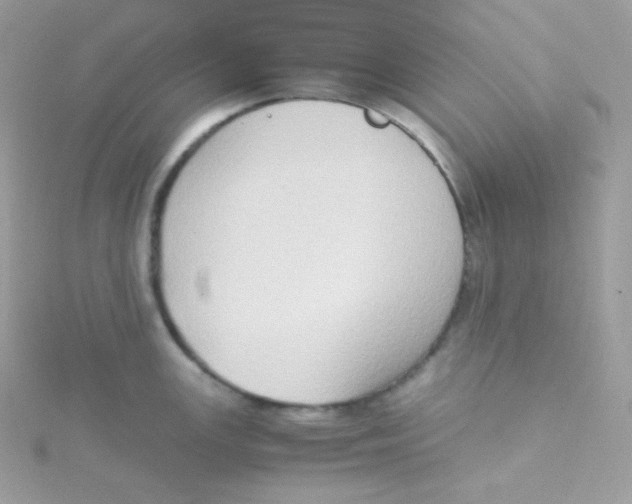 X0000115511147200911271425