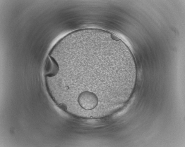 X0000115511149200911271425