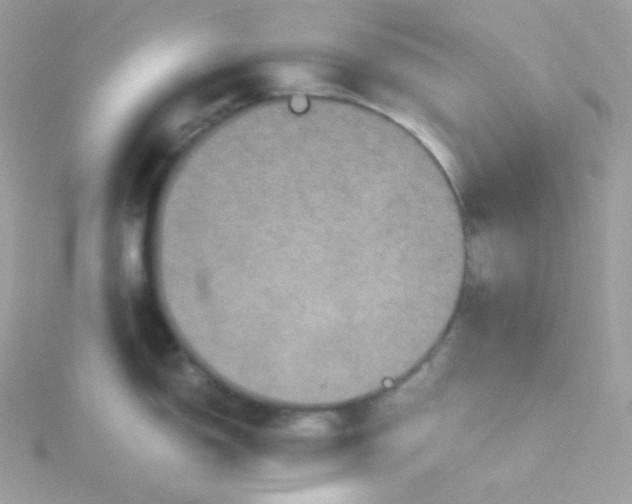 X0000115511150200911271425