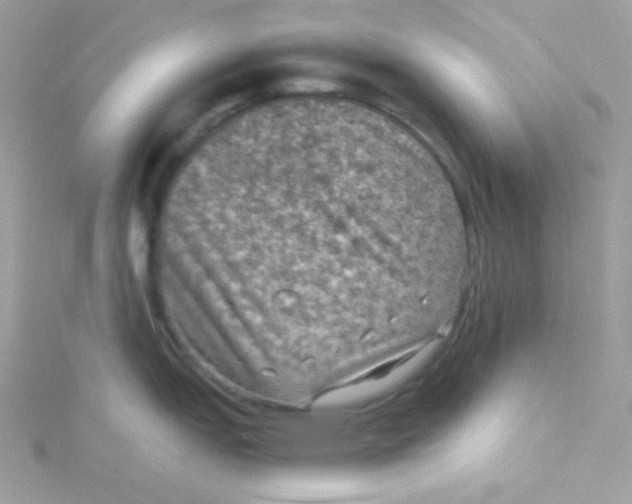 X0000115511151200911271425