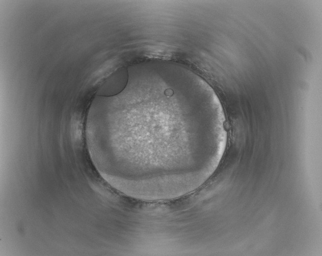 X0000115511154200911271425