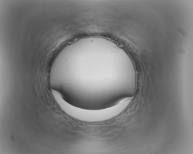 X0000115511157200911271425