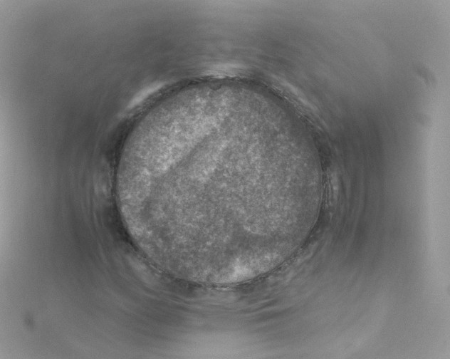 X0000115511158200911271425