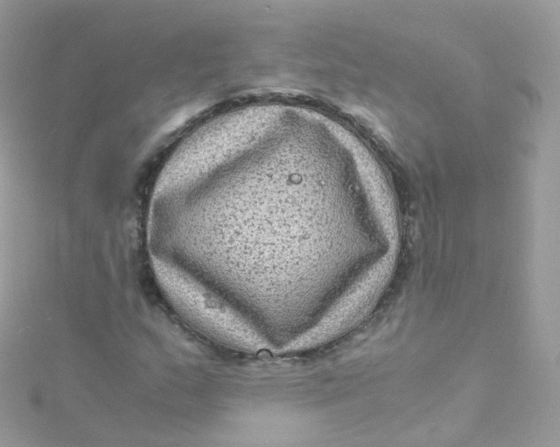 X0000115511159200911271425