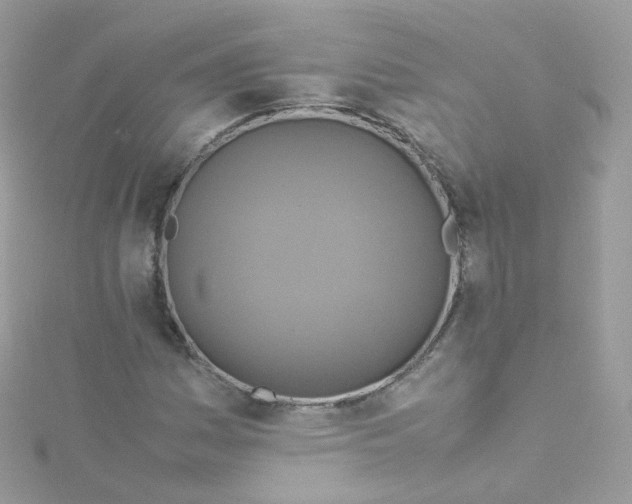 X0000115511161200911271425