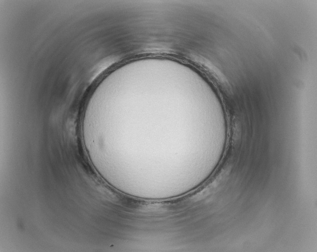 X0000115511162200911271425