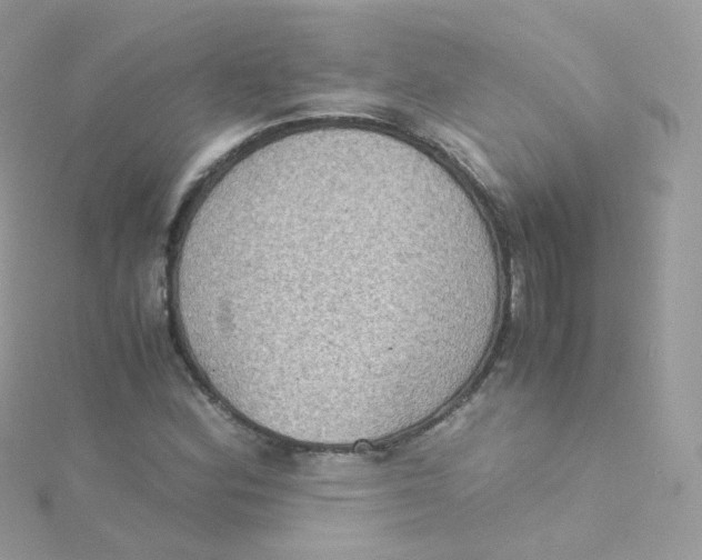 X0000115511164200911271425