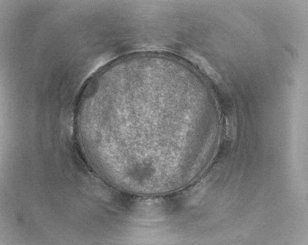 X0000115511165200911271425