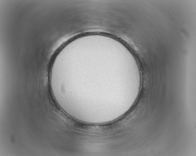 X0000115511167200911271425