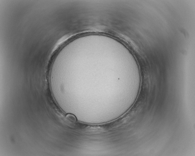 X0000115511168200911271425