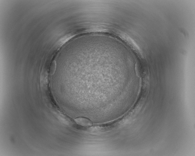 X0000115511169200911271425