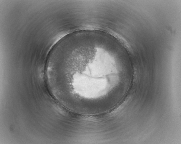 X0000115511170200911271425