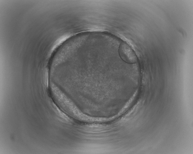 X0000115511171200911271425