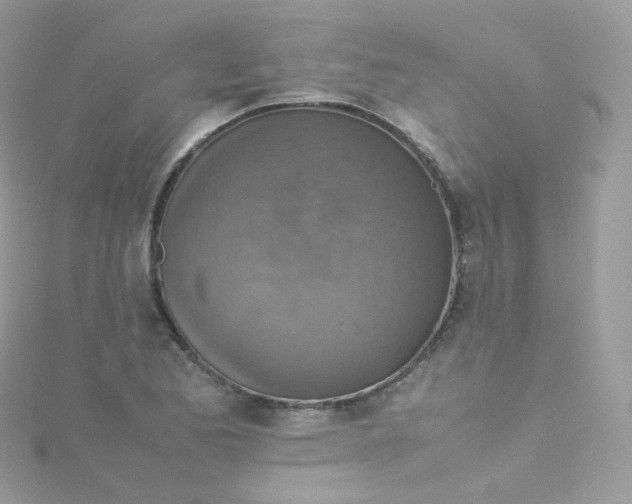 X0000115511173200911271425