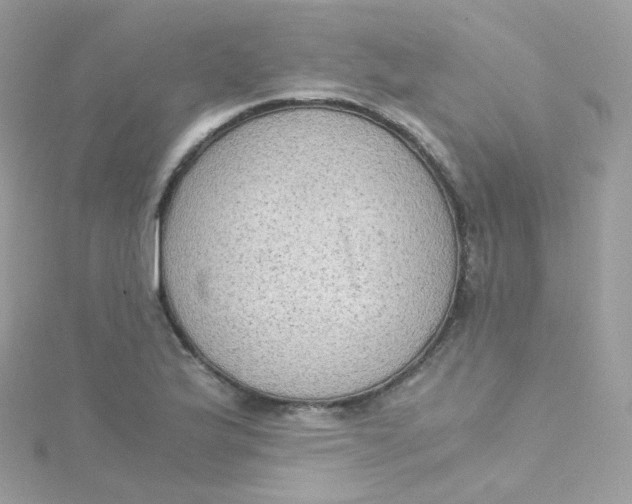 X0000115511175200911271425