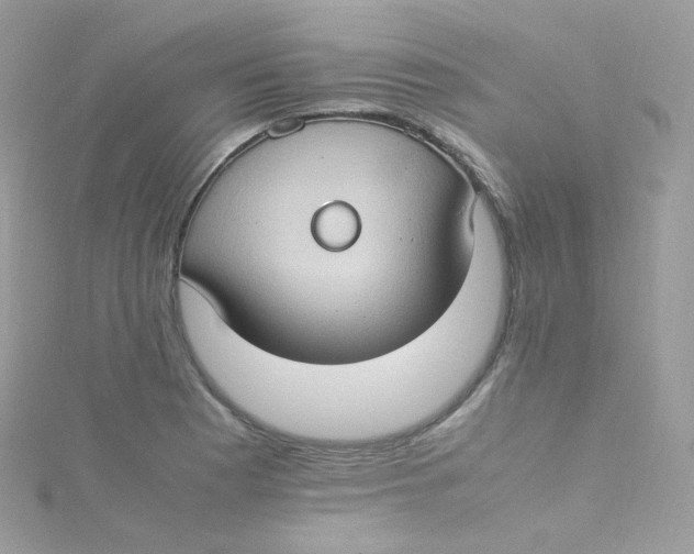 X0000115511177200911271424