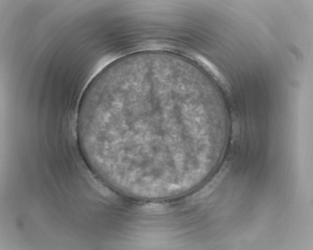 X0000115511178200911271424