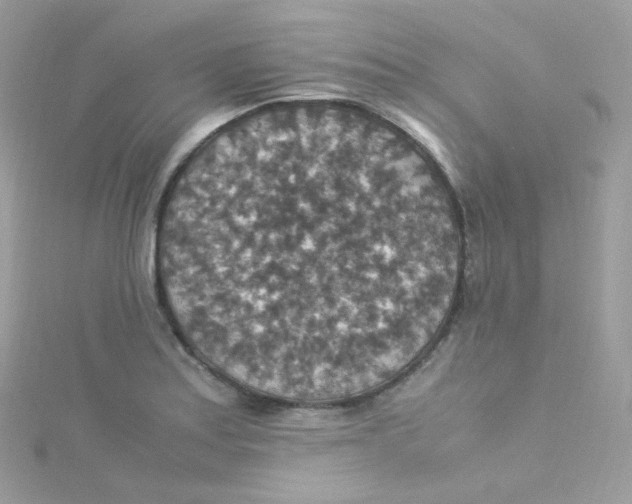 X0000115511179200911271424