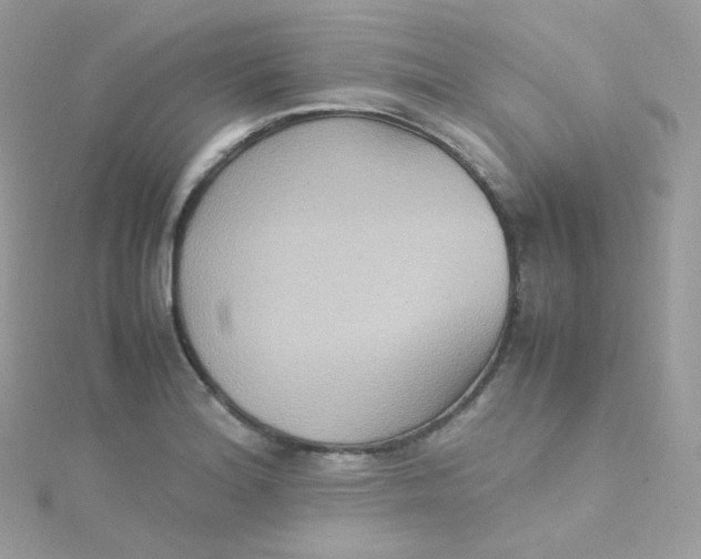 X0000115511180200911271424