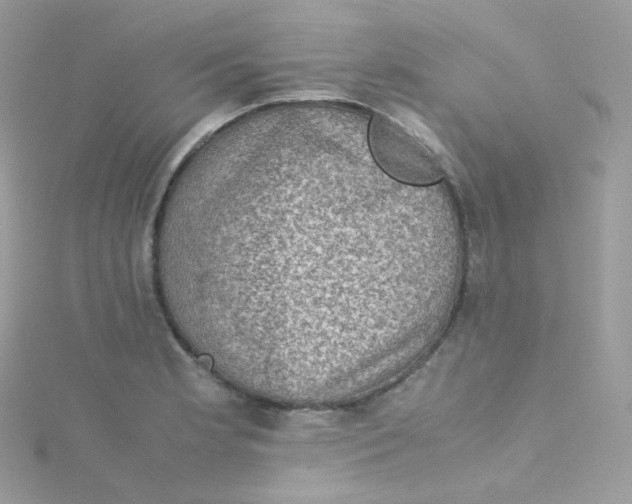 X0000115511181200911271424