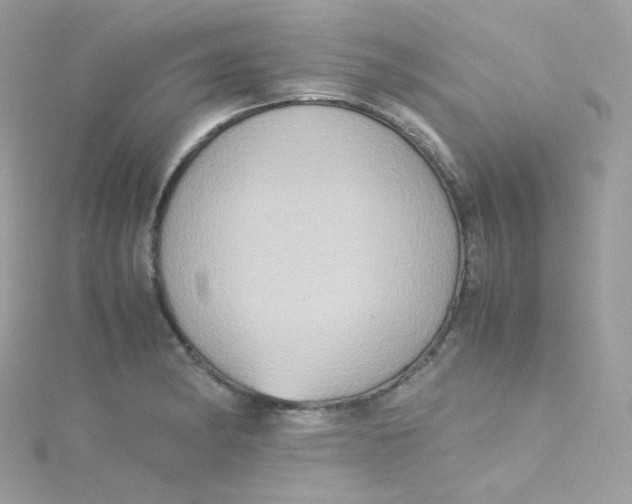 X0000115511182200911271424