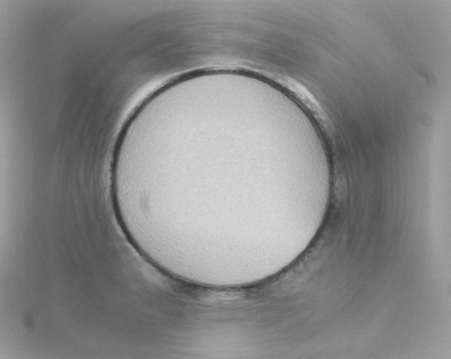 X0000115511183200911271424