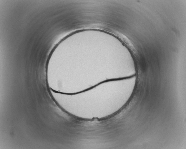 X0000115511184200911271424