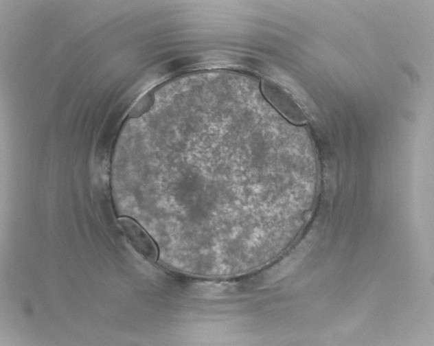 X0000115511185200911271424