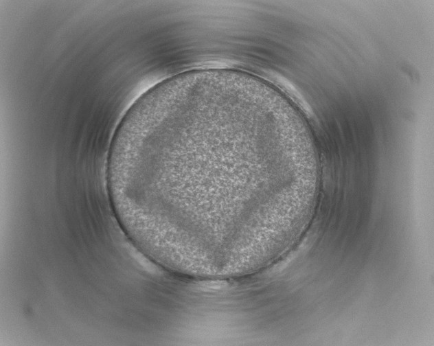 X0000115511186200911271424