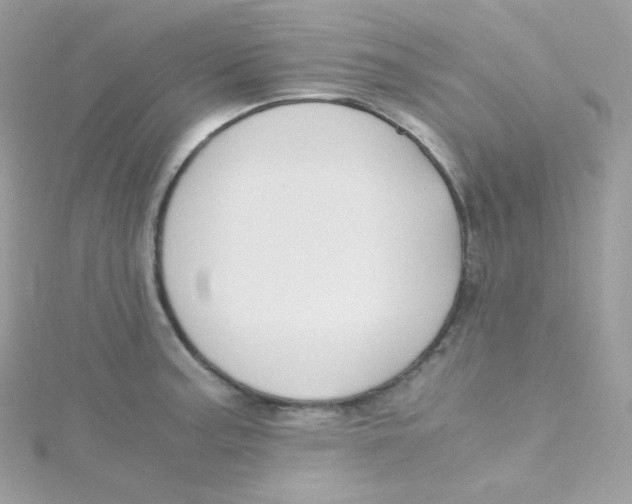 X0000115511187200911271424