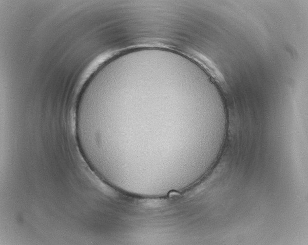 X0000115511188200911271424