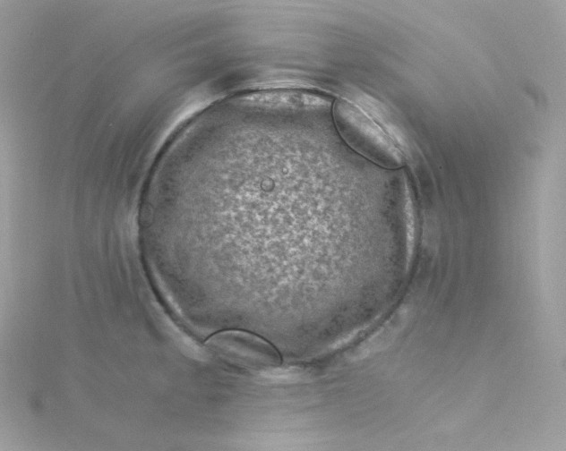 X0000115511189200911271424