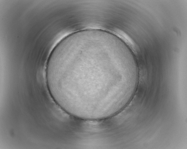 X0000115511190200911271424